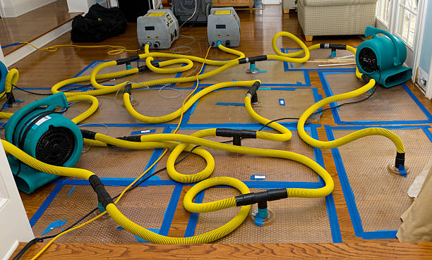 Professional Crawl Space Water Removal technician working in Oldwick, NJ